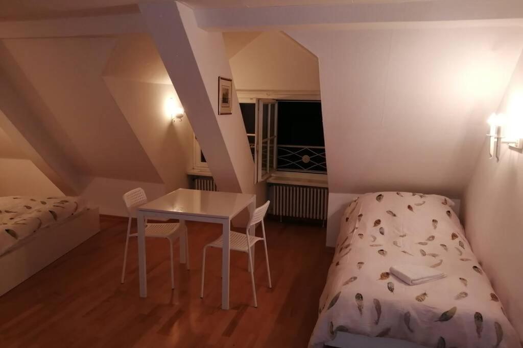 Studio F Am Barfusserplatz Central Old Town Appartamento Basilea Esterno foto