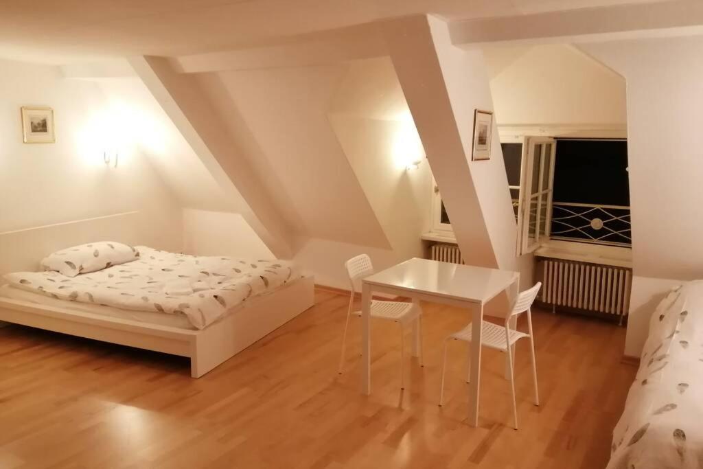 Studio F Am Barfusserplatz Central Old Town Appartamento Basilea Esterno foto