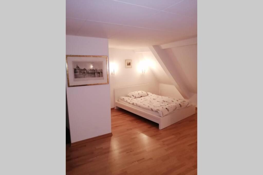 Studio F Am Barfusserplatz Central Old Town Appartamento Basilea Esterno foto